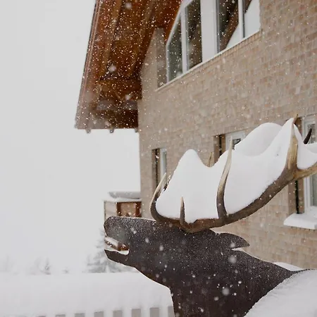 Lägenhet Zum Hirsch *