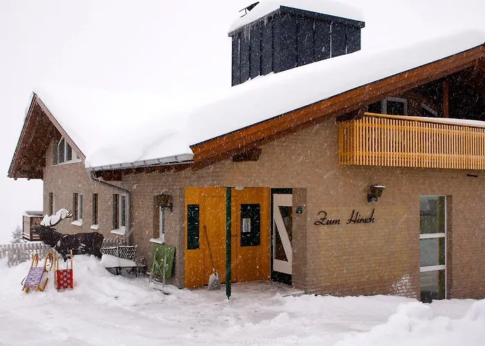 Zum Hirsch Lägenhet