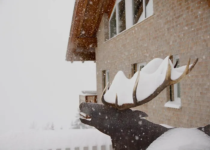 Apartment Zum Hirsch *